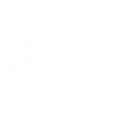 dein Führerschein zur Vollgas Party